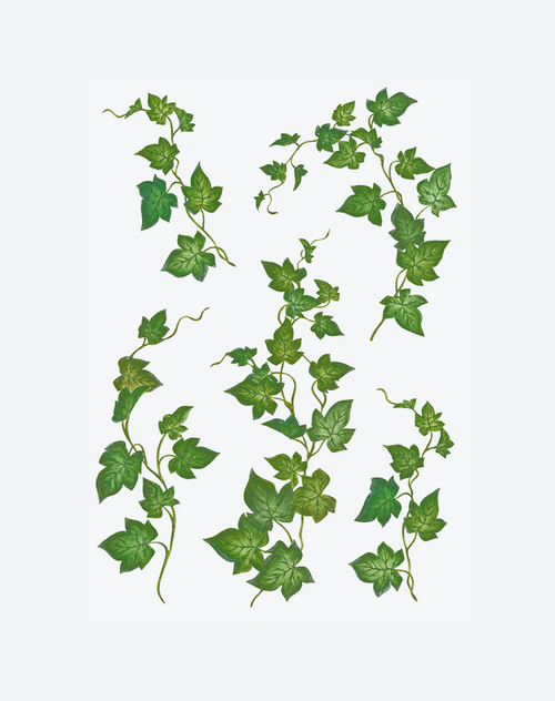 Emerald Ivy Vine