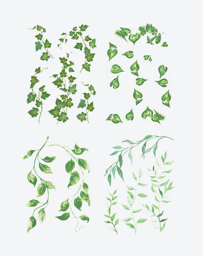 Enchanted Garden Botanical