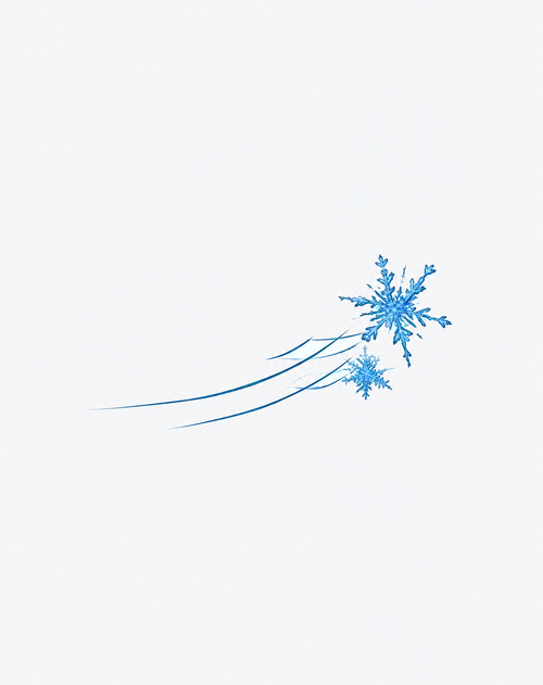 Frost Whisper Snowflake