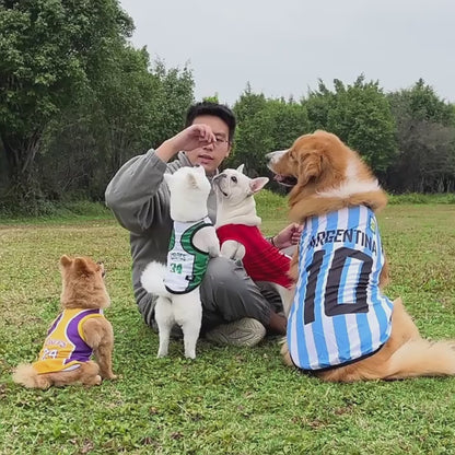 Pet Jersey -Boston Celtics Team